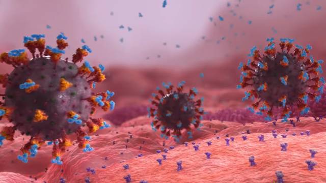 Istraživanje: U krvnim ugrušcima pacijenata s Covidom našli su dijelove koronavirusa