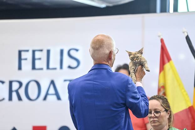 Zagreb: Međunarodna izložba mačaka WCF Cat Olimpia 2025
