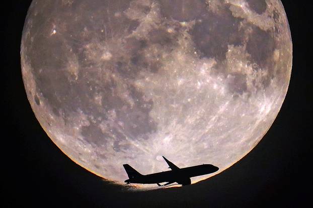 Blue Moon