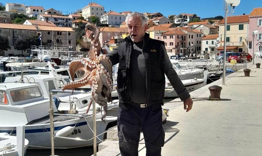 VIDEO Kakav ulov! Umirovljeni satnik  ostima  na Dugom otoku ulovio hobotnicu od čak 11 kila