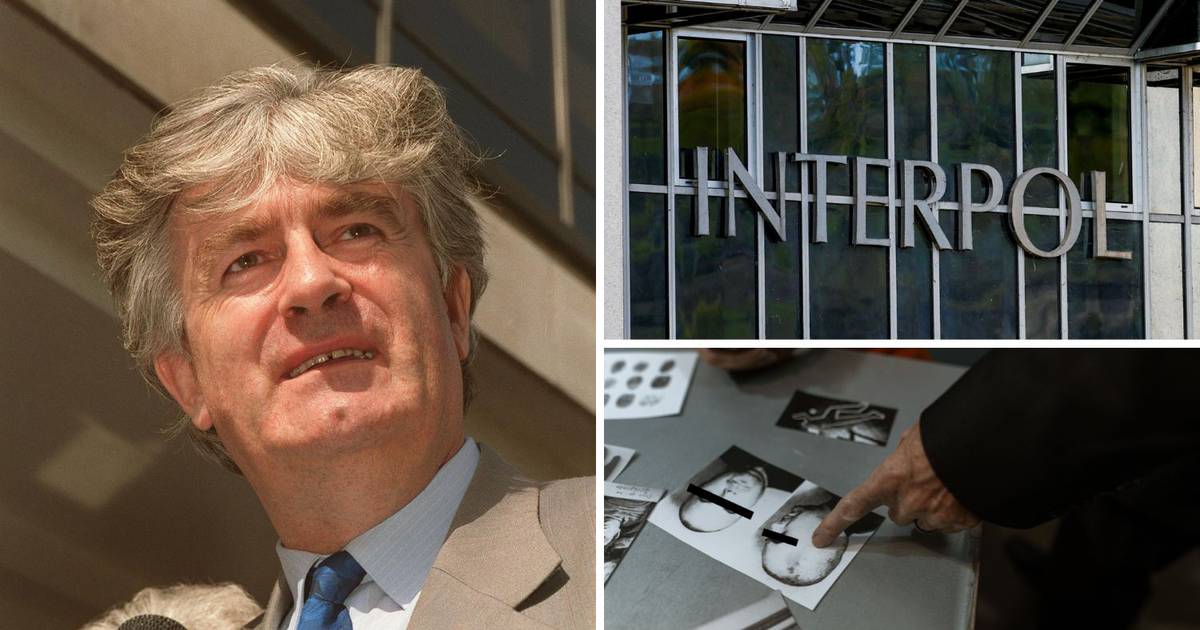 Interpol’s 100 Years: From capturing Karadzic to thwarting mafia schemes, but facing frequent criticism
