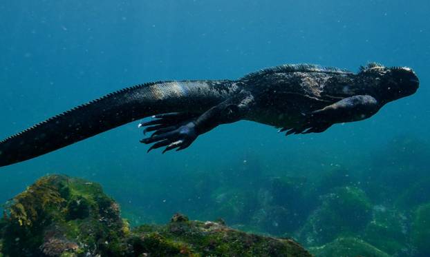 FOTO Jezive prognoze tipa koji tvrdi da je vremenski putnik: 'Nebo mijenja boju. Oni su tu...'