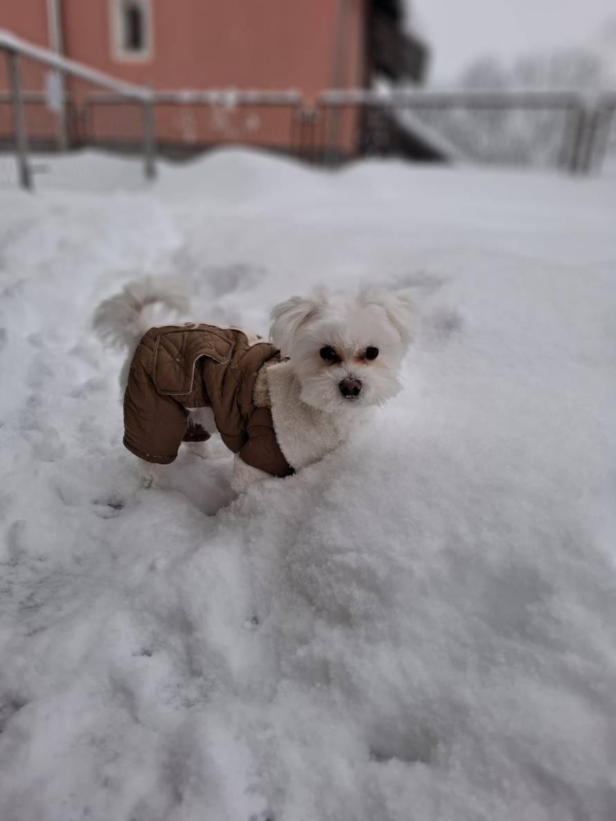 Općinska komunalka sama 'izlopatala' snijeg sa staze: 'Nema nikakve drame u tome'