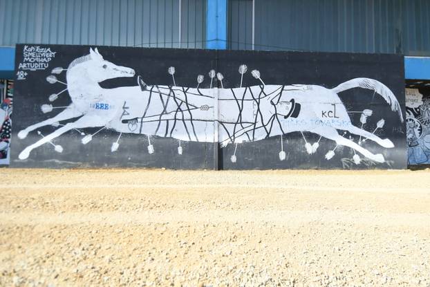 Bjelovar: Murali na pročelju sportske dvorane Srednje škole