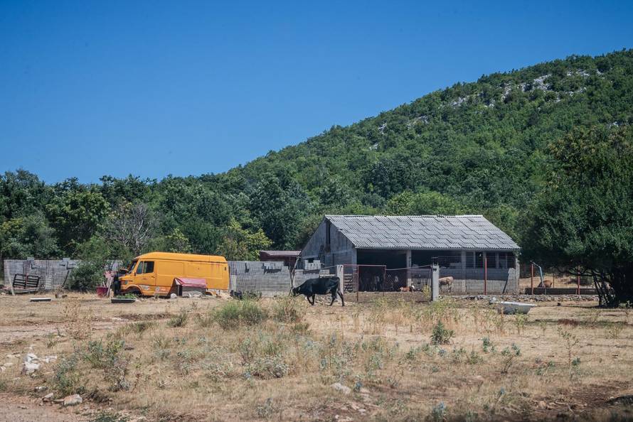 Gornje Maovice: Mjesto gdje je potvrđen slučaj bedrenice
