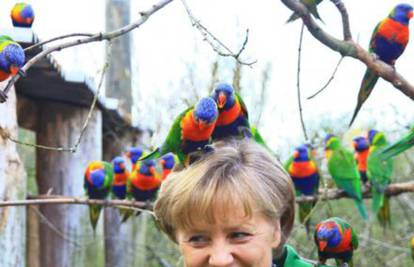 Papige su "lude" za Merkel: Sletjele joj na glavu i ramena