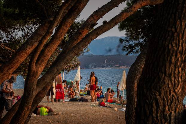 Bol:  Predvečerje na Zlatnom Ratu