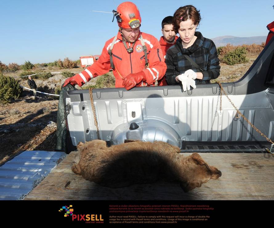 Hrvoje Jelavić/PIXSELL