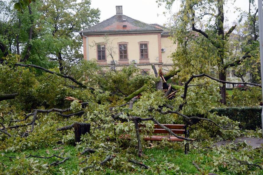 Nikola Cutuk/PIXSELL