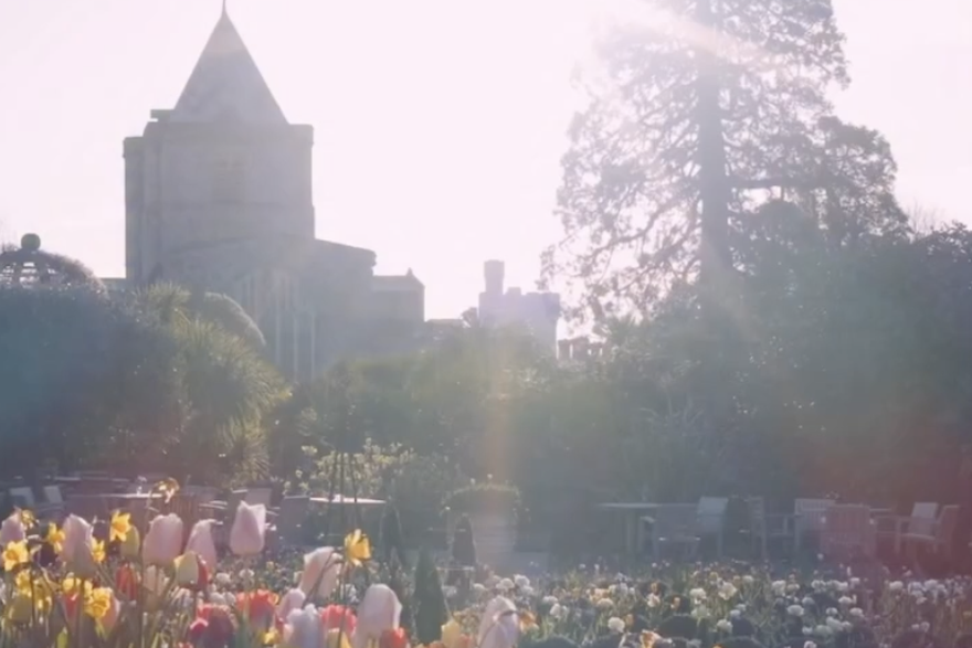 Imaju preko 100.000 tulipana! Ovaj dvorac skriva najljep&scaron;i proljetni spektakl u Europi