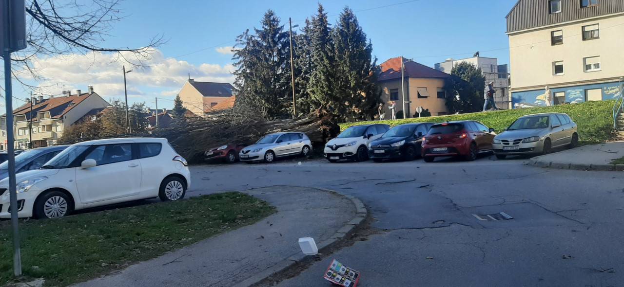 U Osijeku i Zagrebu drveće je padalo na aute, kod Virovitice jak vjetar bacio krov na školu
