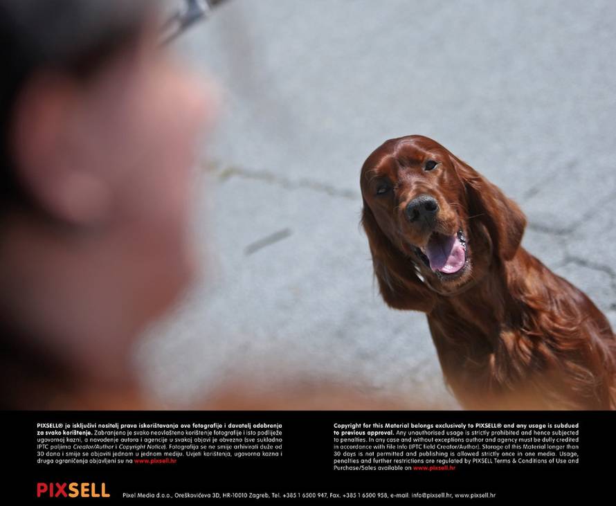 Grgur Žućko/Pixsell