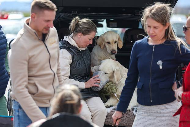 Zaprešić: Ispred Wesgatea održana međunarodna izložba pasa
