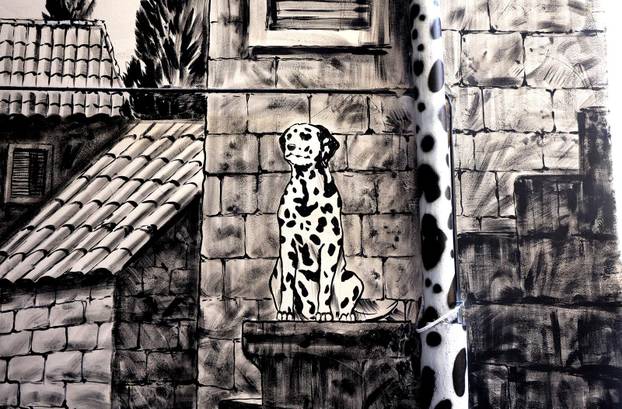 Šibenik:Otvoren muzej dalmatinskom psu,dalmatincu 