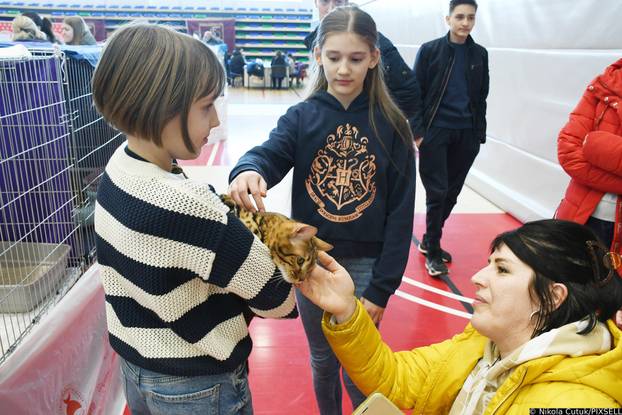 Otvorena revijalna izložba mačaka u Sisku 