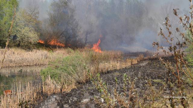 Požar kraj Koprivnice: Izgorjelo je 14 hektara šume i vikendica