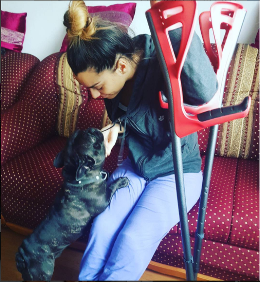 Sementu je oraspoložio buldog Tyson nakon operacije koljena