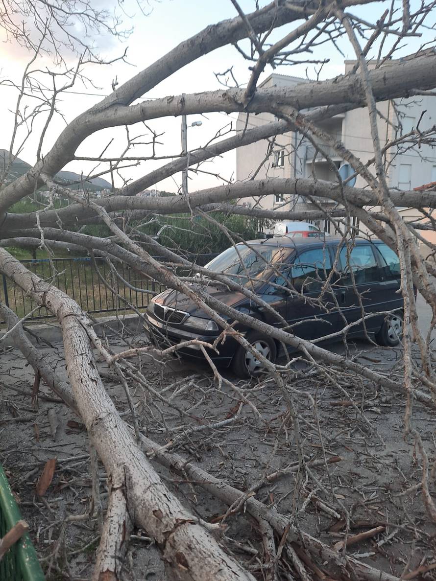 U Zagrebu i Splitu palo nekoliko stabala na ceste i aute, u Senju naleti bure od 153 km/h