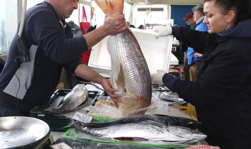 VIDEO Zubatac od čak 7,6 kg na šibenskoj tržnici brzo je prodan