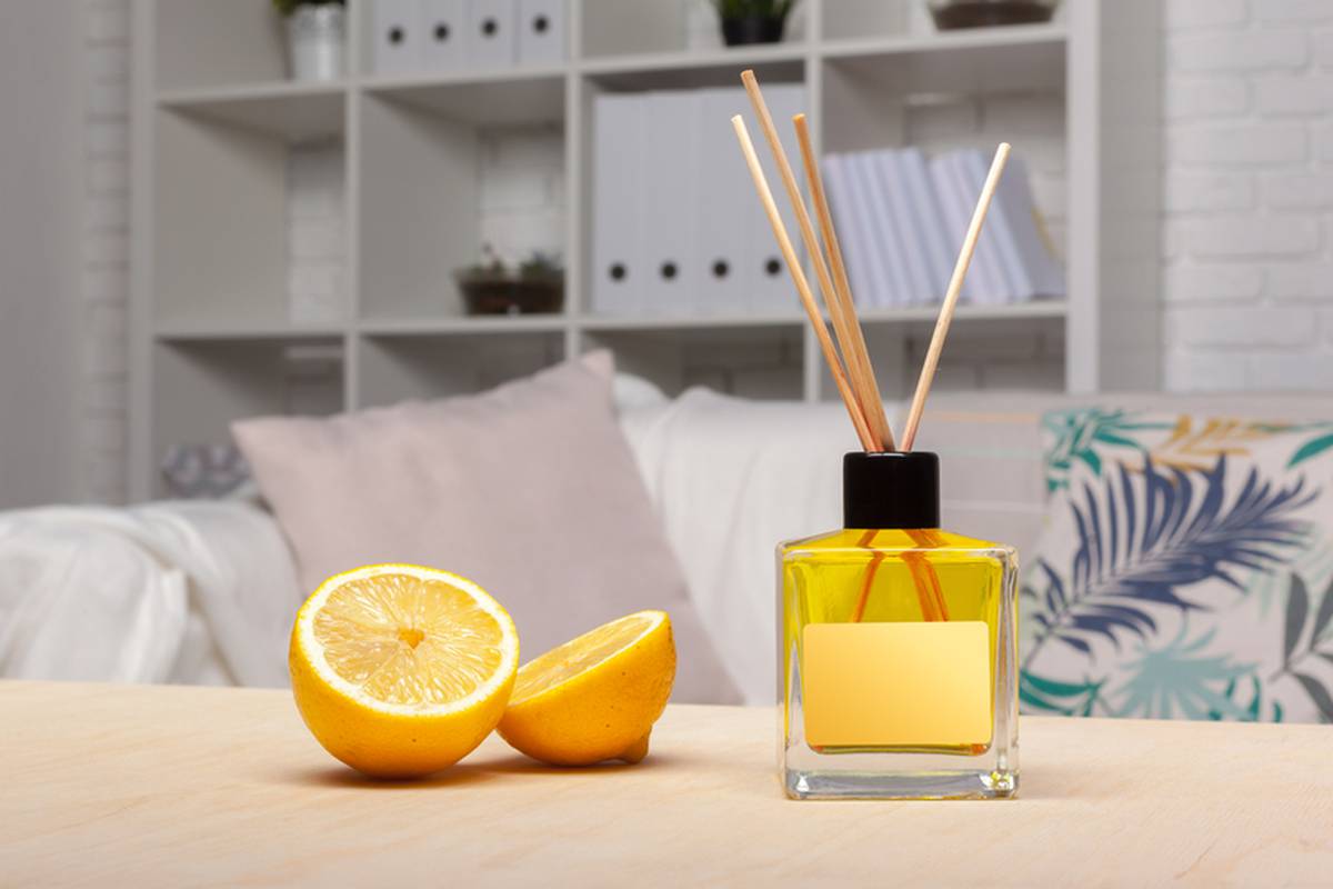 Lavanda, ulja i korice citrusa su prirodni osvježivači za vaš dom