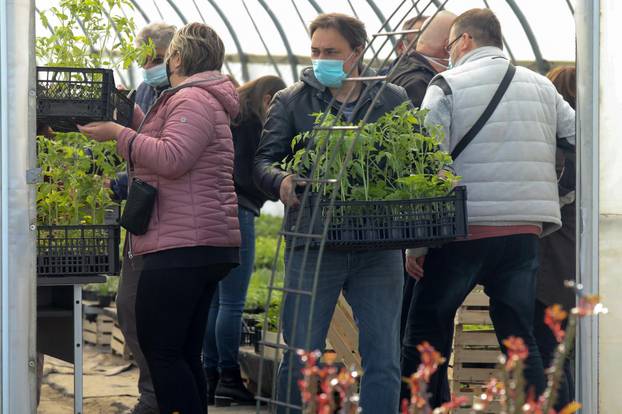 Osijek: Učenici Poljoprivredne i veterinarske škole započeli s prodajom presadnica