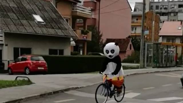'Vozim se ja tako Vrapčem, a ispred mene panda na biciklu'
