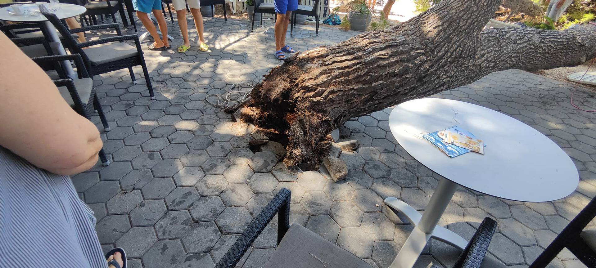 Drama u Baškoj Vodi: Na plažu palo stablo, četvero ozlijeđenih