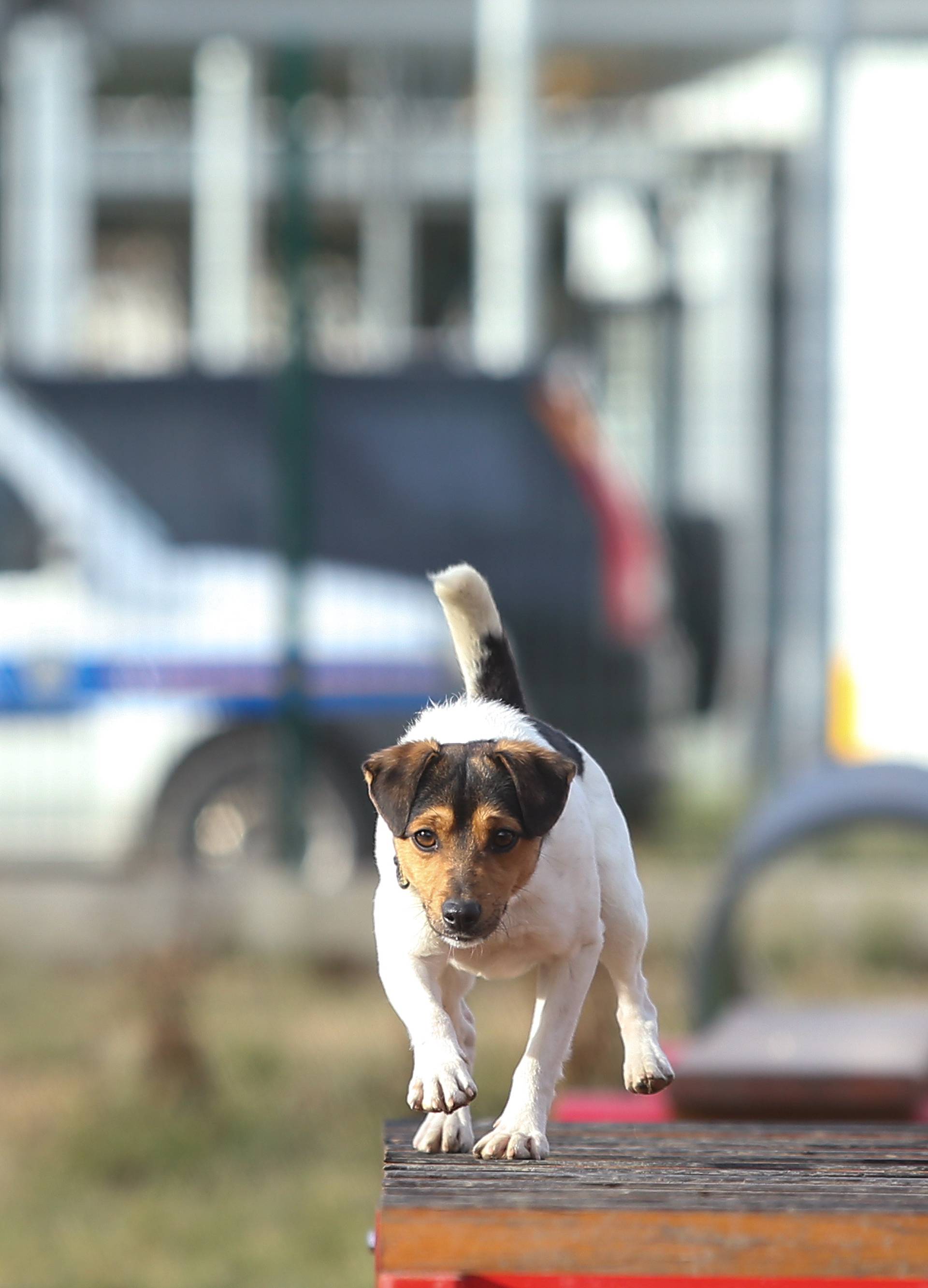 'Bio sam skitnica, a sada sam superpolicajac i šnjofam drogu'