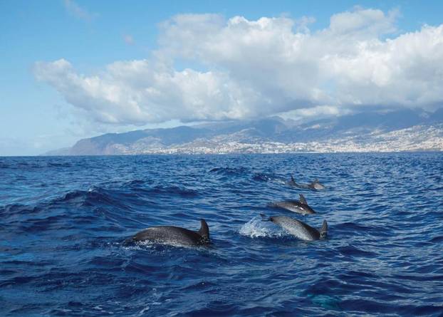 Havaji u Europi po zimi? Ovaj luksuzni hotel na Madeiri nudi bijeg od hladnoće