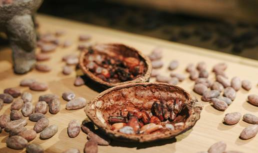 Znanost iza čokolade: Je li ona stvarno zdrava?