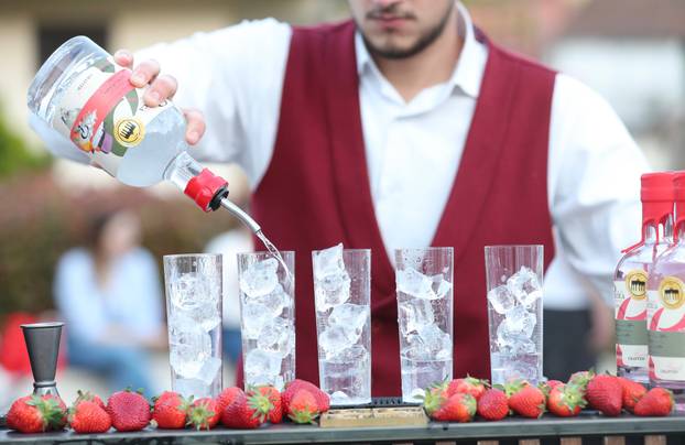 Održana je manifestacija Dani jagoda u Vrgorcu