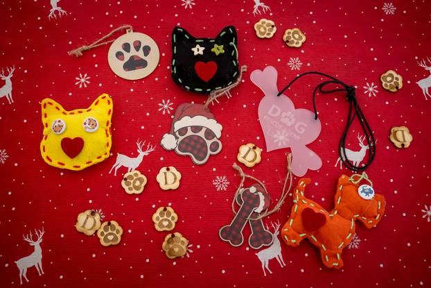 I psići vole advent: Preslatke fotke štenaca koji traže dom