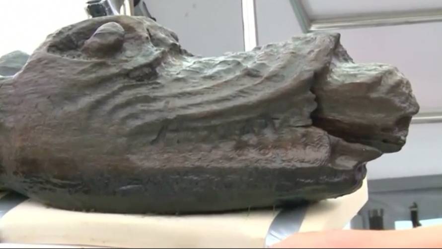 Morsko čudovište nakon 500 godina 'isplivalo' na površinu