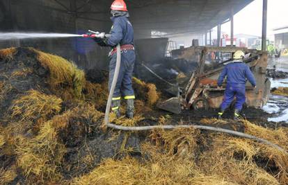 U požaru štale izgorjelo je 15 teladi, šteta dva milijuna kuna
