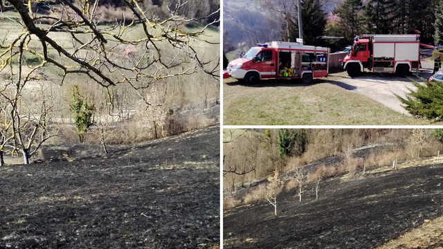 Palio travu pa zapalio susjedne parcele i dio šume: 'Vatra je došla tri metra od moje kuće'