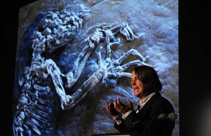 Fosil star 47 mil. godina riješiti će tajnu evolucije?
