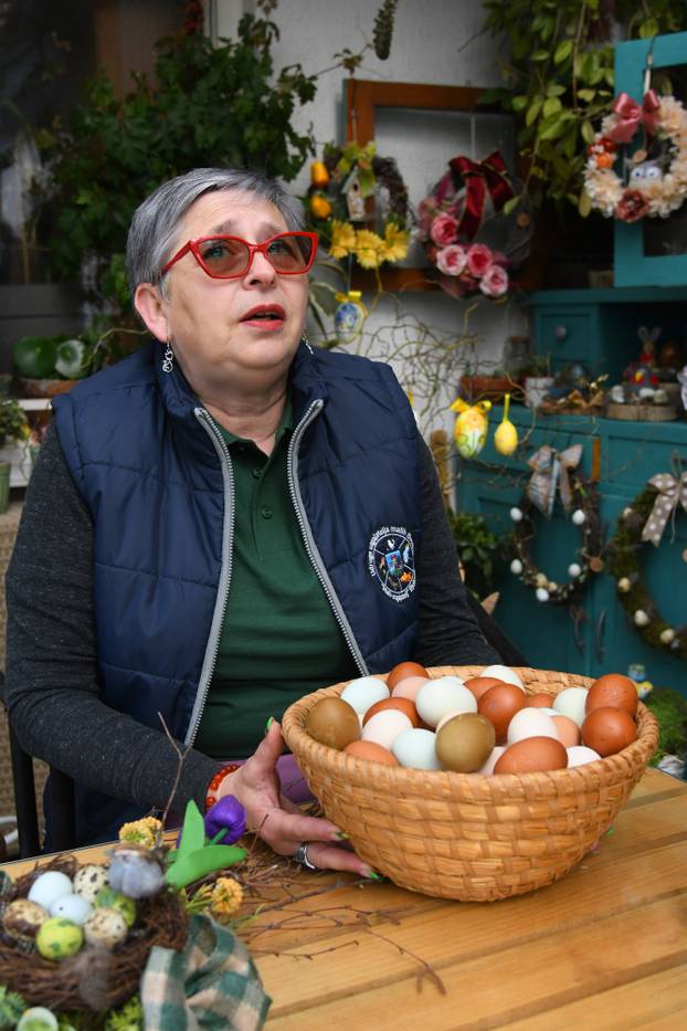 Neobične kokoši u Zvijercima kod Bjelovara nesu jaja u raznim bojama
