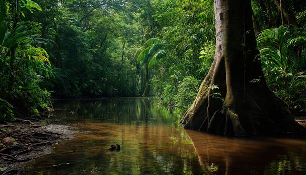 FOTO Tvrdi da je vremenski putnik: 'Užasni virus stiže. Nebo se otvara, svijet tone u tamu...'