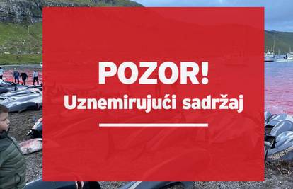 Šokantni prizori: More crveno od krvi, na Farskim otocima u jednom danu ubili 1400 dupina