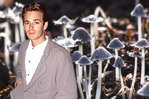 Luke Perry pokopan je u 'odijelu od posebnih gljiva'. Plan je bio da ga one razgrade, međutim...