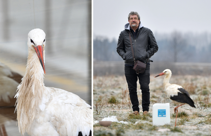 Vratit će se rode, samo Pere ostaje kraj svojeg Štefeka...