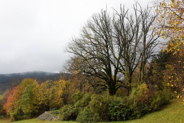 Vodice: Jesenja mističnost Ćićarije