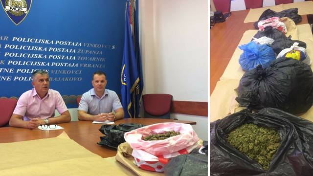 Policija u Gradištu zaplijenila 10,5 kg 'vrlo kvalitetne' trave