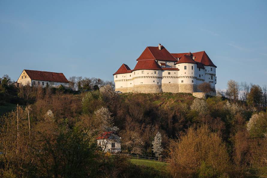 Kod Dvora Velik Tabor top usmrtio muškarca