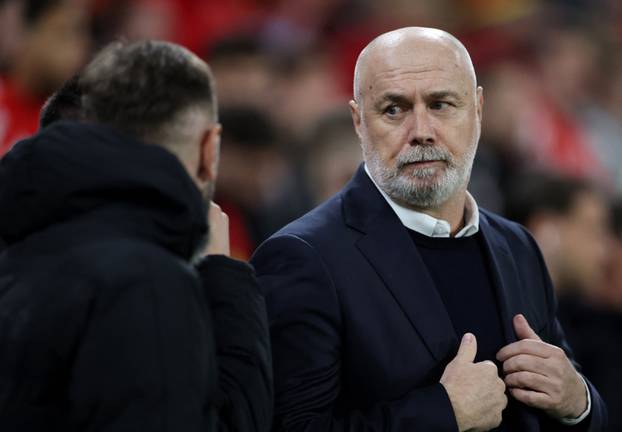 FIFA World Cup - UEFA Qualifiers - Semi Final - Wales v Bosnia and Herzegovina