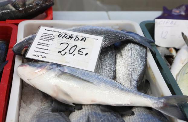 Šibenik: Ponuda ribe u šibenskoj ribarnici
