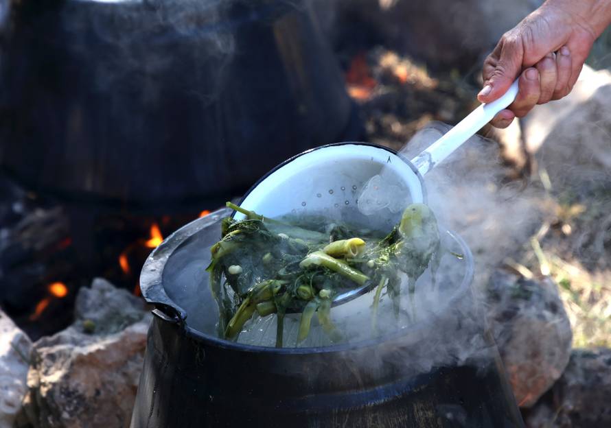 Vodice:Tradicionalni prvosvibanjski piknik u Rakitnici,spremanje divljeg zelja i pulente.