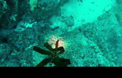 Drska hobotnica pokušala oteti kameru podvodnom fotografu