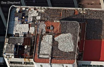 Na krovu zgrade sušili više od 10 tisuća peraja morskog psa