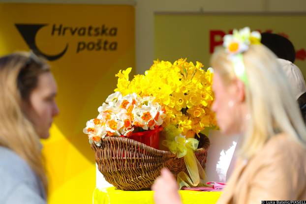 Zagreb: Obilježen Međunarodni dan narcisa